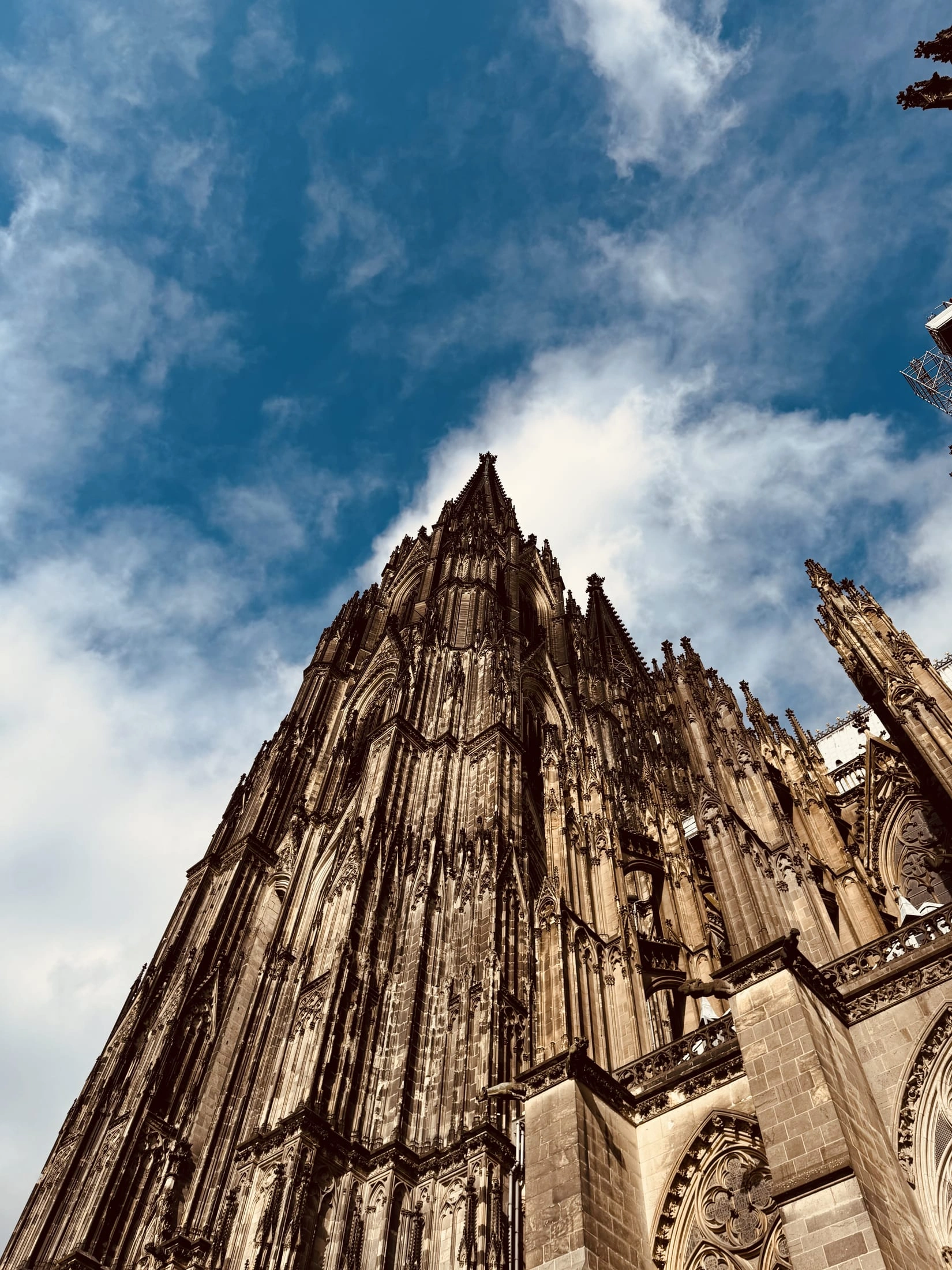 Cologne